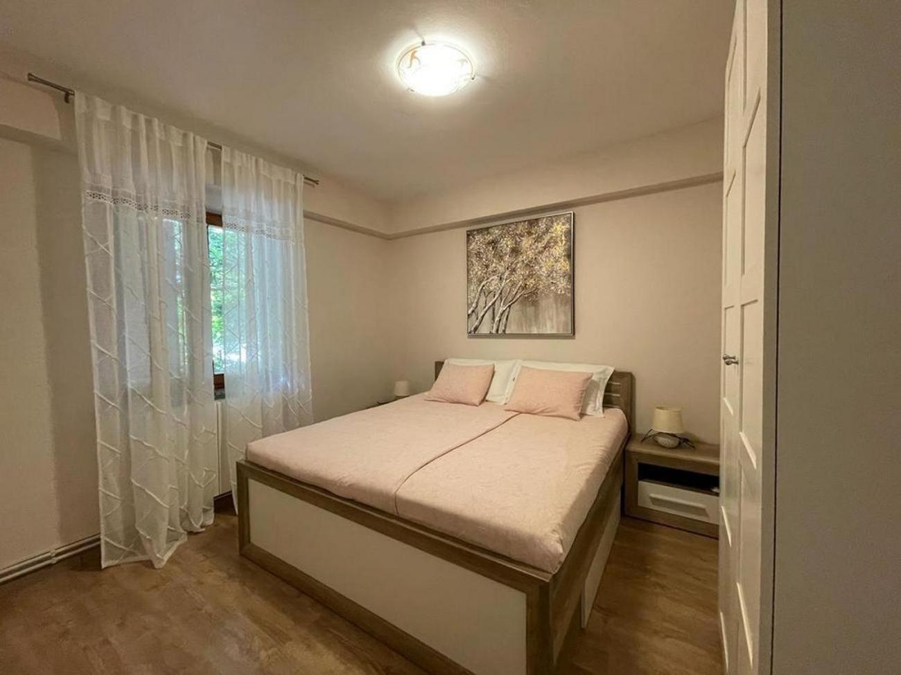 Family Friendly Apartments With A Swimming Pool Povljana, Pag - 244 Eksteriør bilde